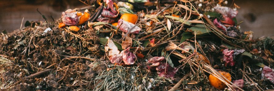 Komposthaufen im Herbst